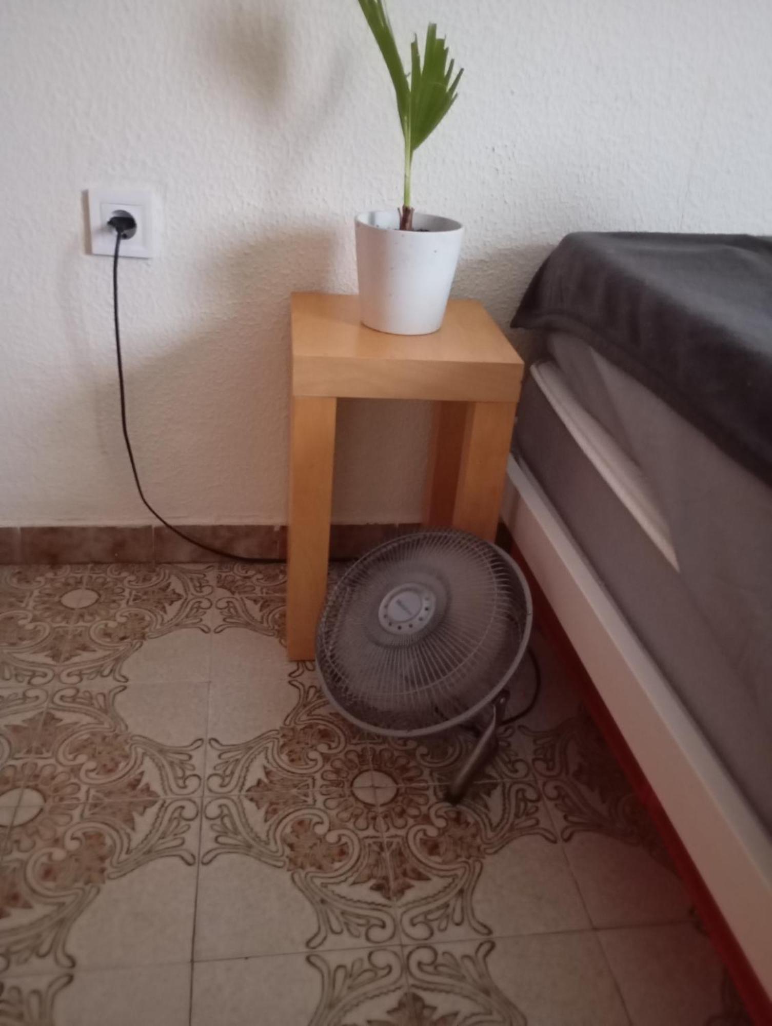 Grosses Modernes Zimmer "Silber" Fuer 2 Personen Und Katzenliebhaber Valencia Buitenkant foto