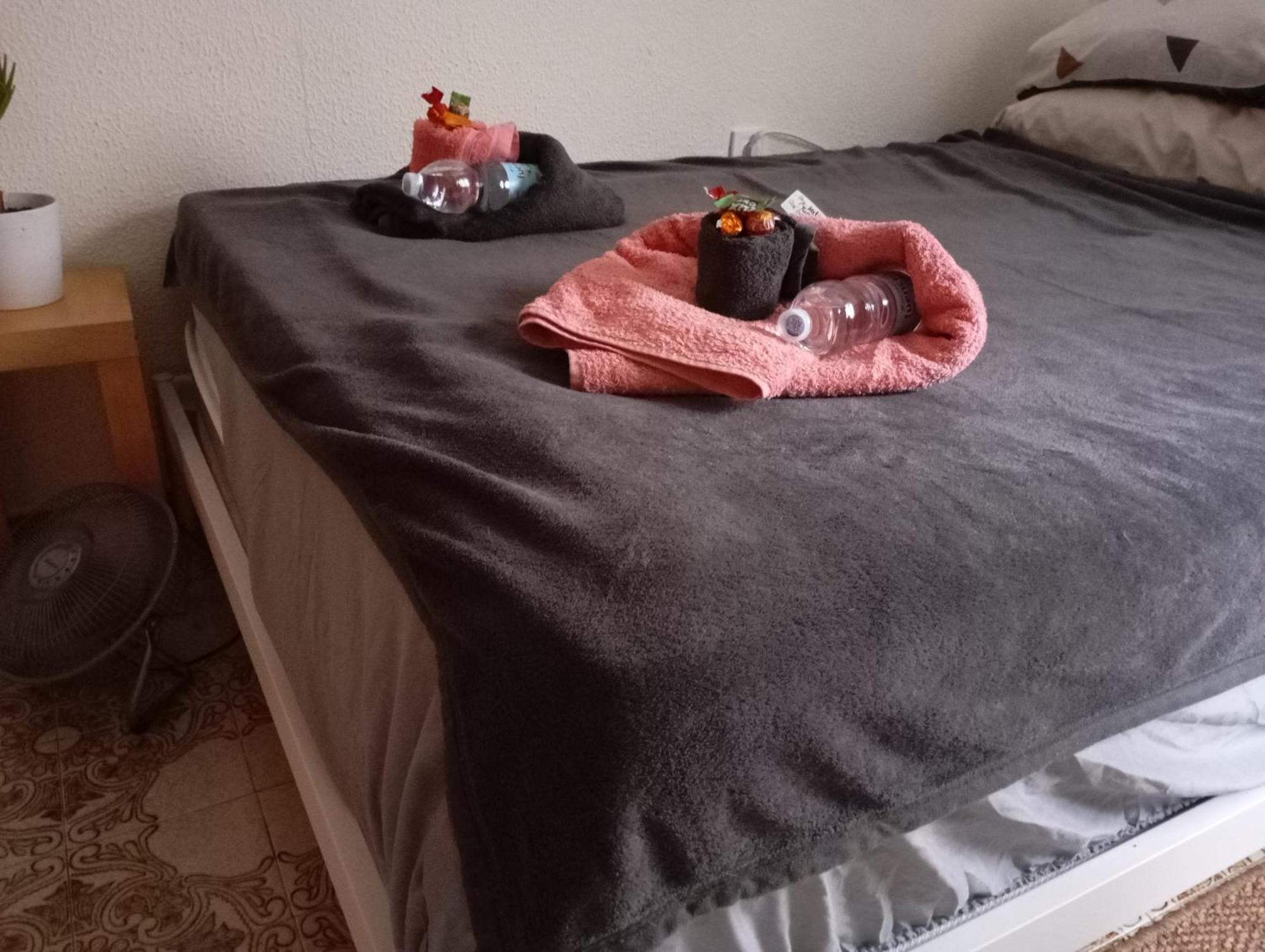 Grosses Modernes Zimmer "Silber" Fuer 2 Personen Und Katzenliebhaber Valencia Buitenkant foto