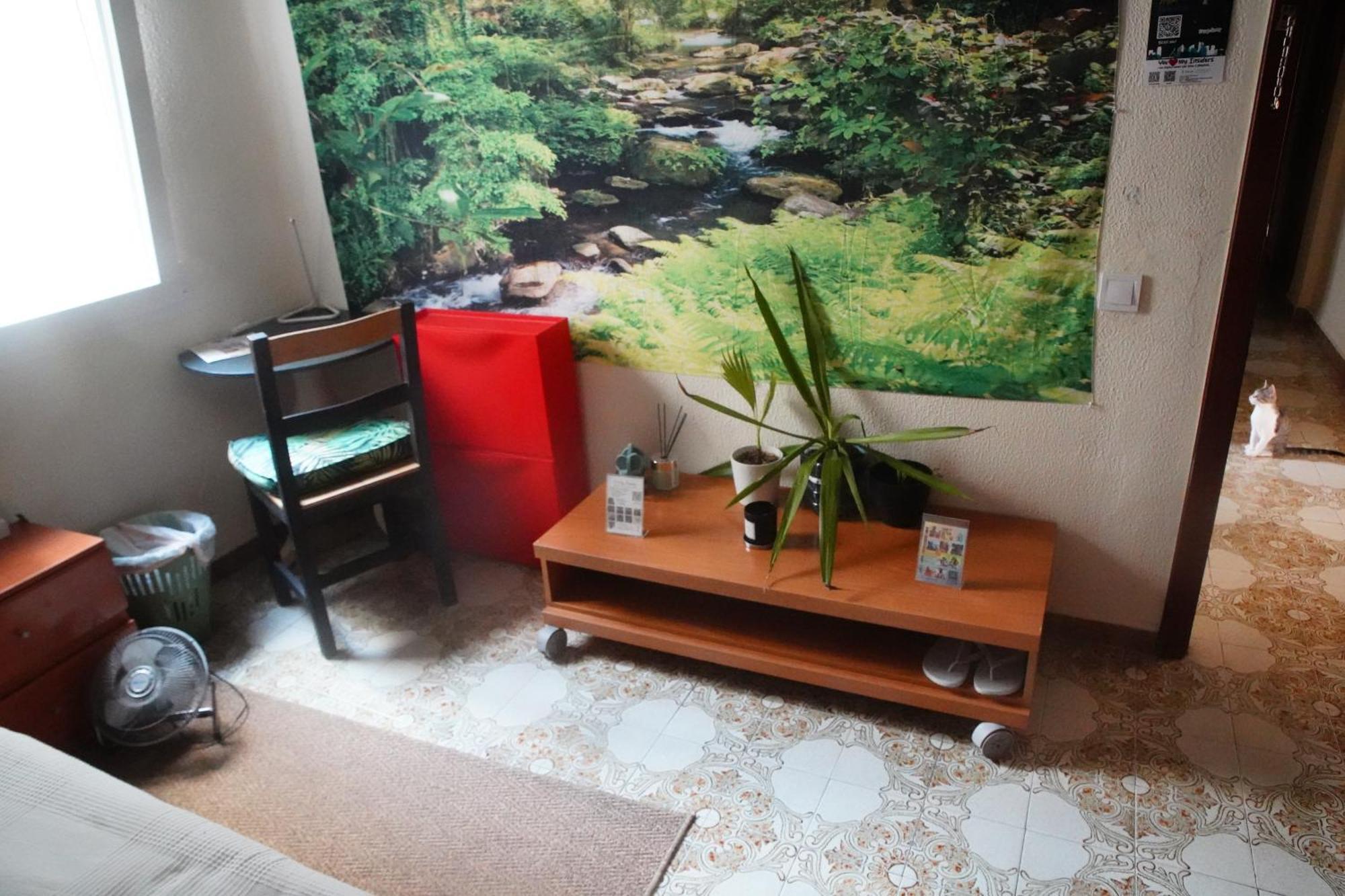 Grosses Modernes Zimmer "Silber" Fuer 2 Personen Und Katzenliebhaber Valencia Buitenkant foto